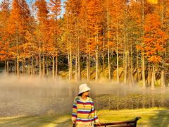 -南京银杏湖乐园