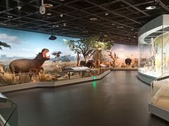 -陕西自然博物馆