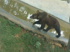 -泉州海丝野生动物世界