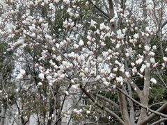 -北京理工大学(中关村校区)