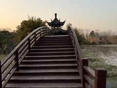 -朴园