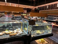 -璞御·海鲜·雪花牛肉局(宾水西道店)