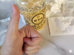 -野萃山·潮汕厚果汁(十亩地店)