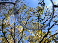 -南京市江宁方山