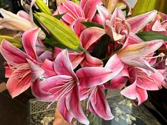 -上海1号私藏菜(黄浦店)