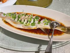 -金美华轩(东方路齐鲁店)