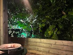 -毛辣果·酸(OHA复兴西路店)