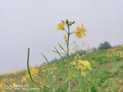 -汉长安城未央宫国家考古遗址公园