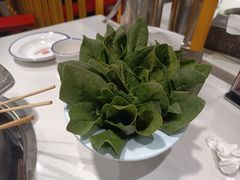 -老马路串串香火锅(北门桥店)