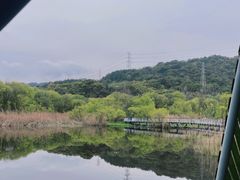 -西湖风景区-江洋畈生态公园