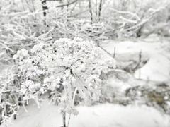 -终南山国家森林公园