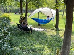 -上海海湾国家森林公园