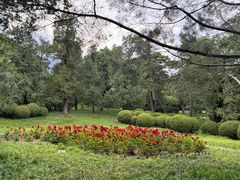 -香山公园