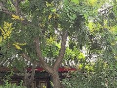 -天津妈祖文化园