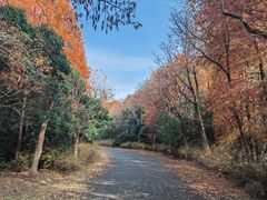 -上海海湾国家森林公园