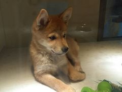 -乐宠宠物店(世纪金源店)