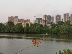 -大亚湾红树林城市湿地公园