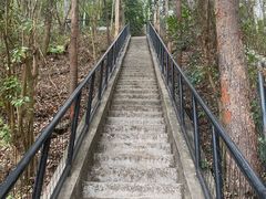 -番禺大夫山森林公园
