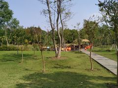 游乐设施-上海长兴岛郊野公园