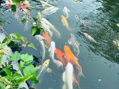 -李小龙乐园(顺德均安店)