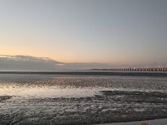 -南汇新城海滩