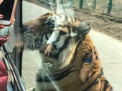 -西安秦岭野生动物园