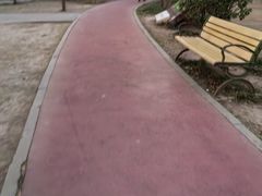 -和平区健康主题公园