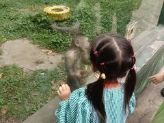 -西安秦岭野生动物园