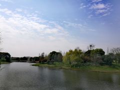 -尚贤河湿地