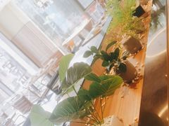 -豪客来牛排(金鼎广场店)