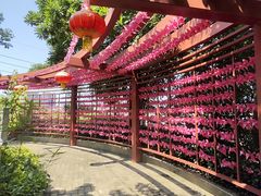 -广州神农草堂中医药博物馆