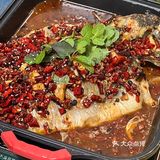 南阳这家烤鱼真的绝了 吃完还想吃100次