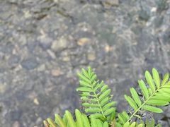 -东天目山风景区