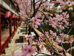-宝墨园景区