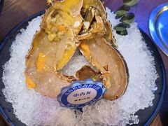 -东海怡品海鲜豆捞(星街坊店)