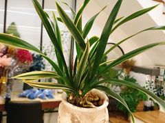 -森野花艺培训·企业团建活动沙龙