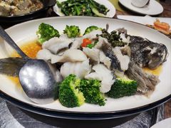 -顺意·顺德家乡菜(国际人才大厦店)