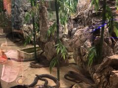 -荔城生鲜盛宴(番禺旗舰店)
