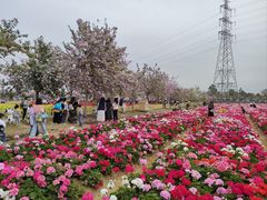 -盈香心动乐园