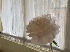 -花·fleur古董西餐厅(西城夜未央店)