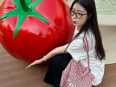 -沈阳铁西万象汇
