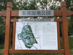 -东郊湿地公园