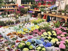 -双季花艺园艺市场(浦东店)