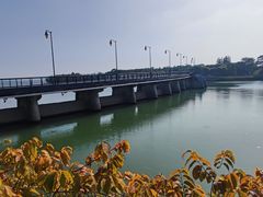 -深圳湾公园(南山区)