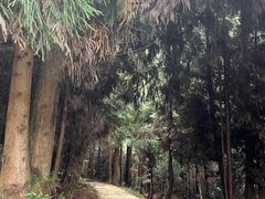 -山王坪喀斯特国家生态公园