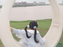 -九龙湖公园