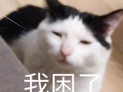 -盖邑扁食店