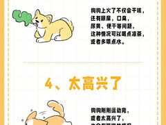 -美迦爱-牙专科·兔科·骨科诊疗中心(北苑店)