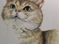-八哥美术·成人美术画室(总校区)