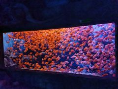 -多彩贵州城极地海洋世界